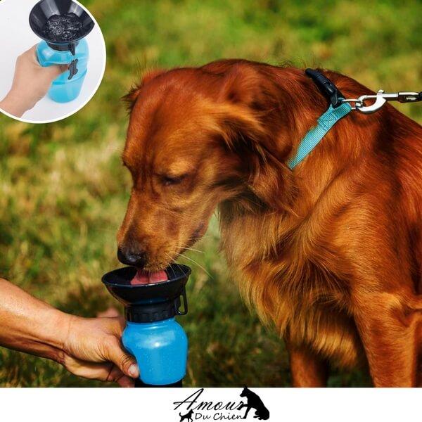 Tasse & Bouteille - 2 en 1