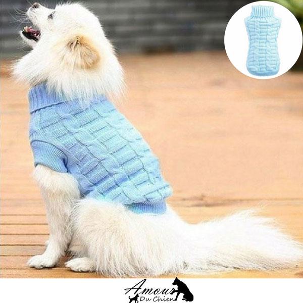 pull pour chien