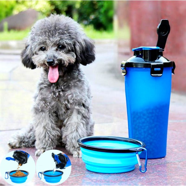bouteille 2 en 1 chien