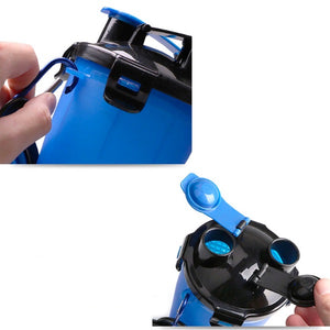 bouteille randonée chien