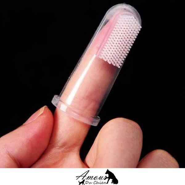 brosse a dent chien