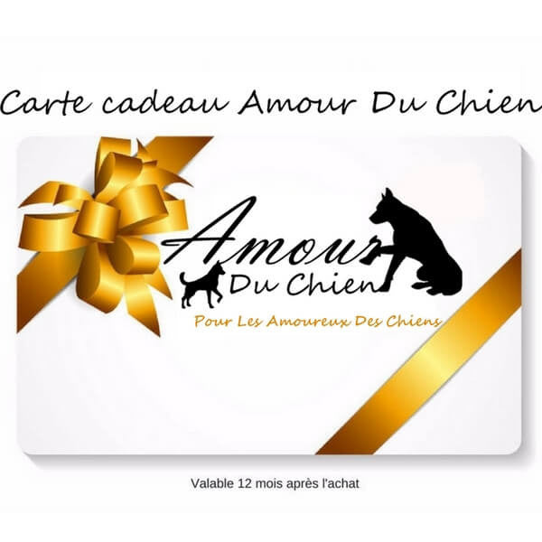 Carte Cadeau 10€ / 25€ / 50€ / 100€