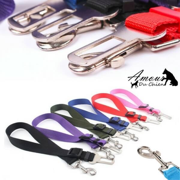 ceinture de sécurité voiture chien