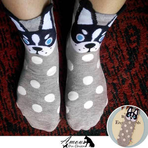 chaussette motif chien