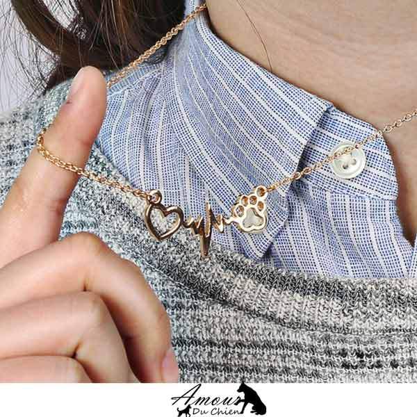 collier coeur patte chien