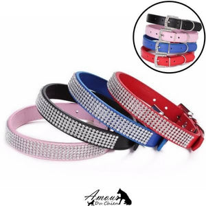 collier pour chien pas cher