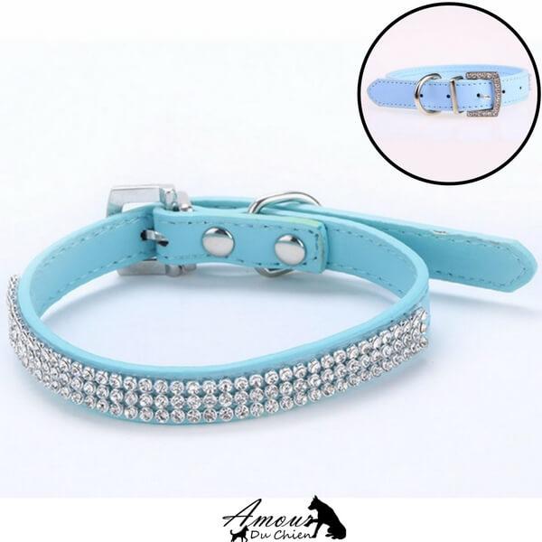 collier pour chien pas cher