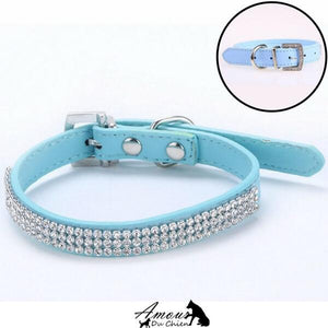 collier pour chien pas cher