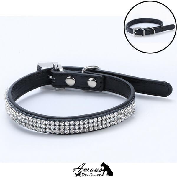 collier pour chien pas cher
