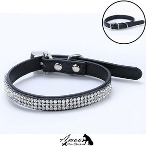 collier pour chien pas cher