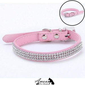 collier pour chien pas cher