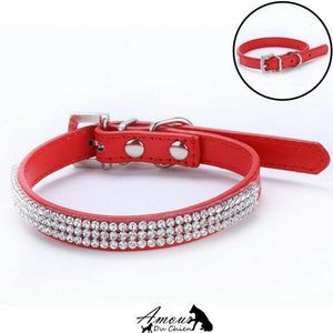 collier pour chien pas cher