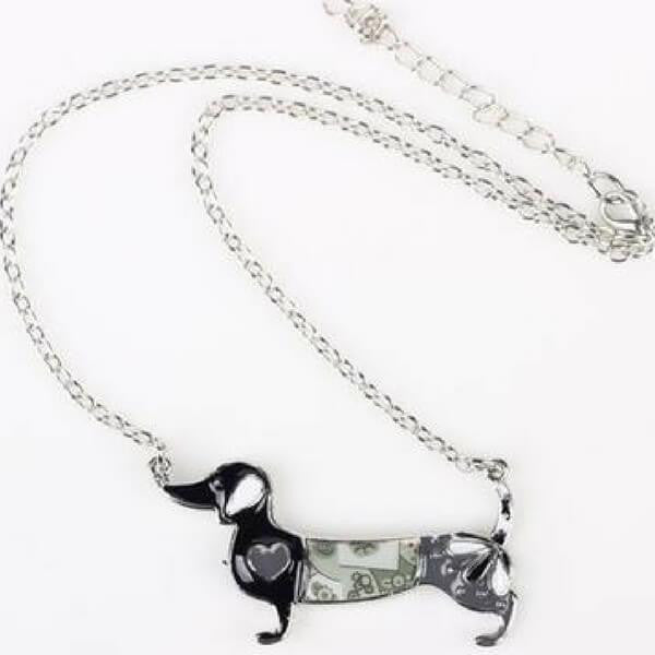 collier chien teckel
