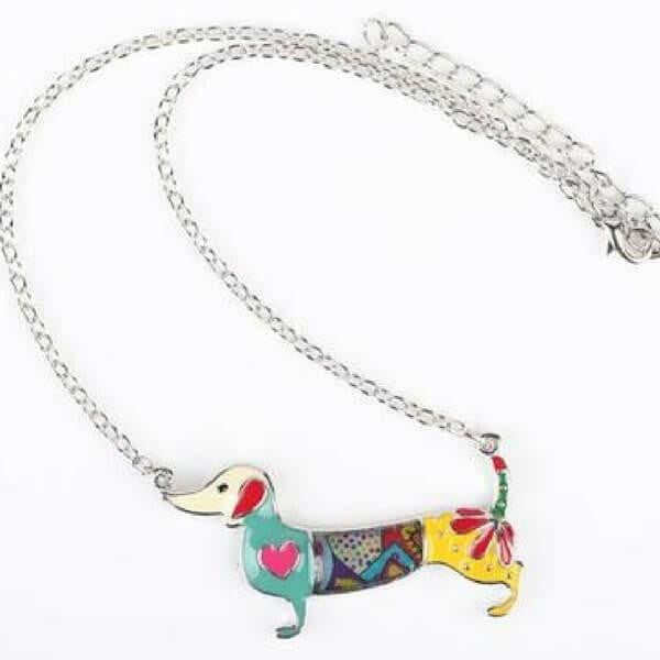 collier chien teckel