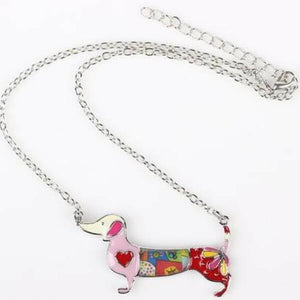 collier chien teckel