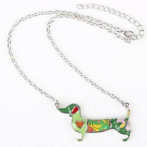 collier chien teckel