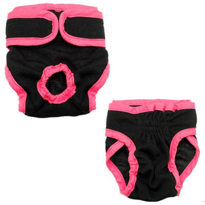 couche pour chien règle