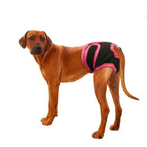 couche grand chien règle