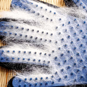 gants de toilettage magique