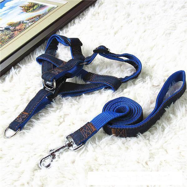 harnais et laisse en jean pour chien