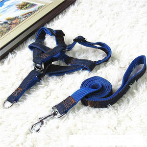 harnais et laisse en jean pour chien