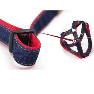 harnais et laisse en jean pour chien