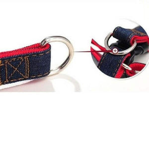 harnais et laisse en jean pour chien