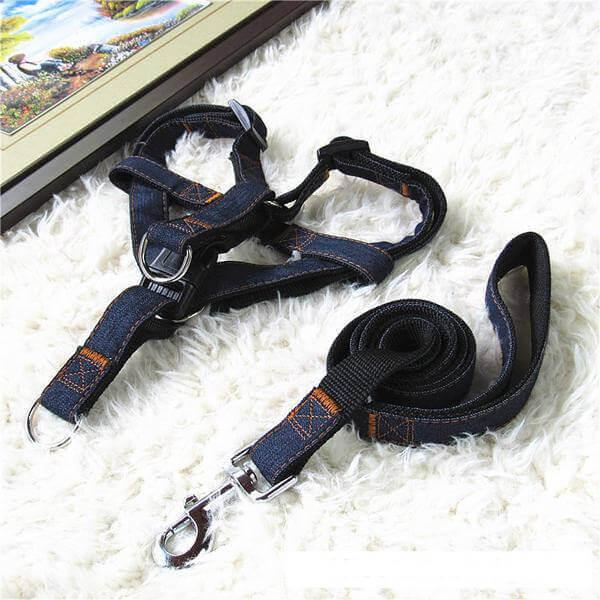 harnais et laisse en jean pour chien .