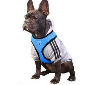 harnais et laisse pour chien