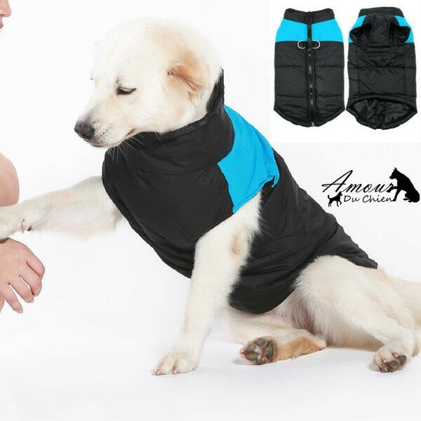 gilet harnais étanche pour chien imperméable