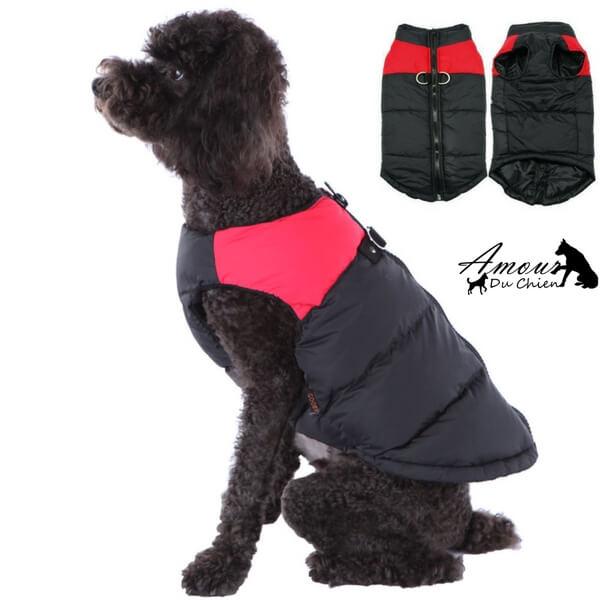 gilet harnais étanche pour chien imperméable