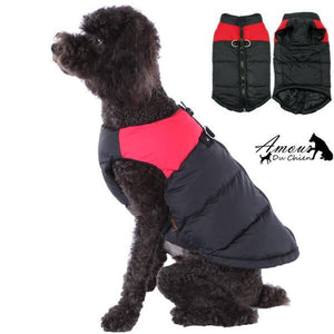 gilet harnais étanche pour chien imperméable