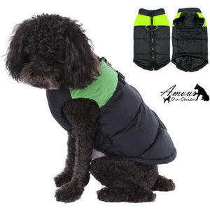 gilet harnais étanche pour chien imperméable