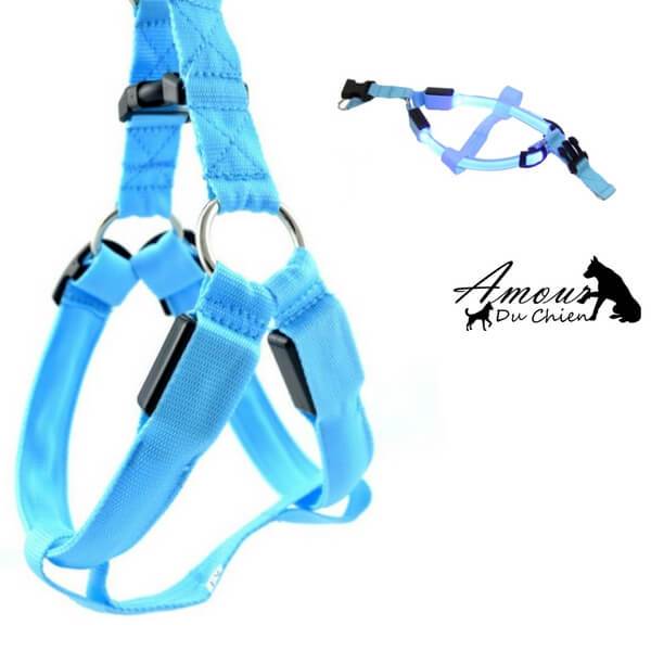 harnais lumineux pour chien