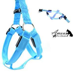 harnais lumineux pour chien