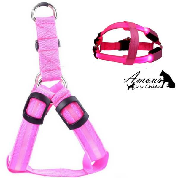 harnais lumineux pour chien