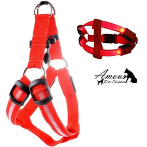 harnais lumineux pour chien