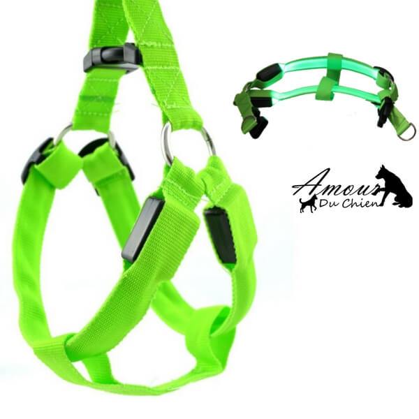 harnais lumineux pour chien