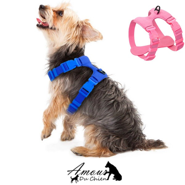 Harnais pour chien