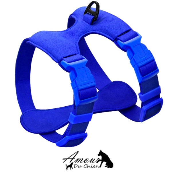 Harnais pour chien