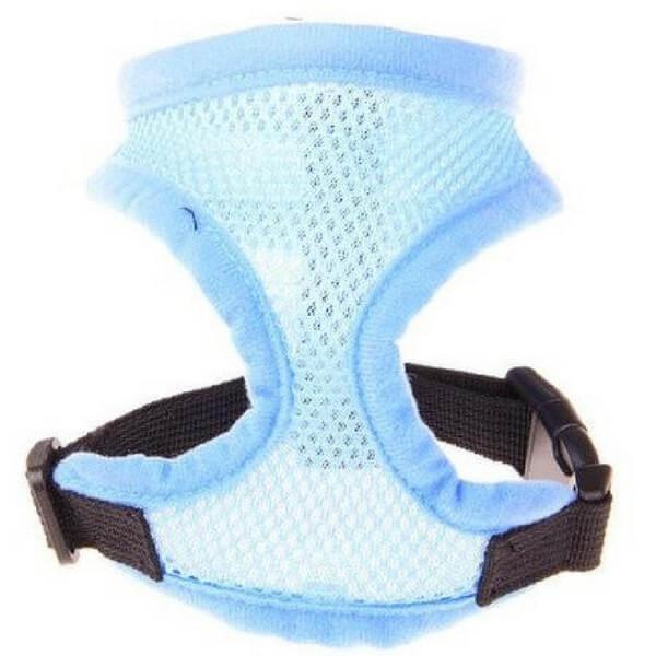 harnais souple chien