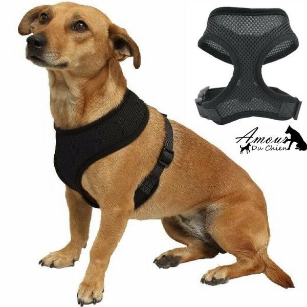 harnais souple noir chien