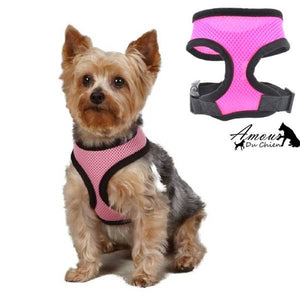 harnais souple rose chien