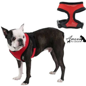harnais souple rouge chien