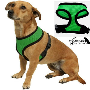 harnais souple vert chien