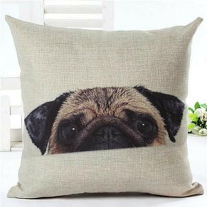 house de coussin chien carlin