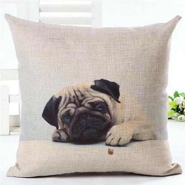 house de coussin chien carlin