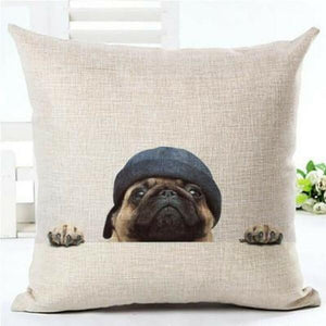 house de coussin chien carlin