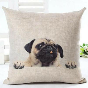 house de coussin chien carlin