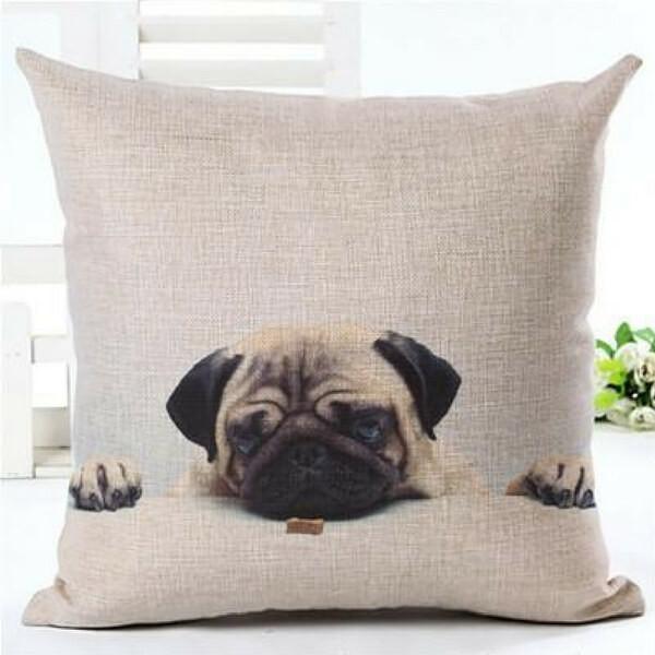house de coussin chien carlin